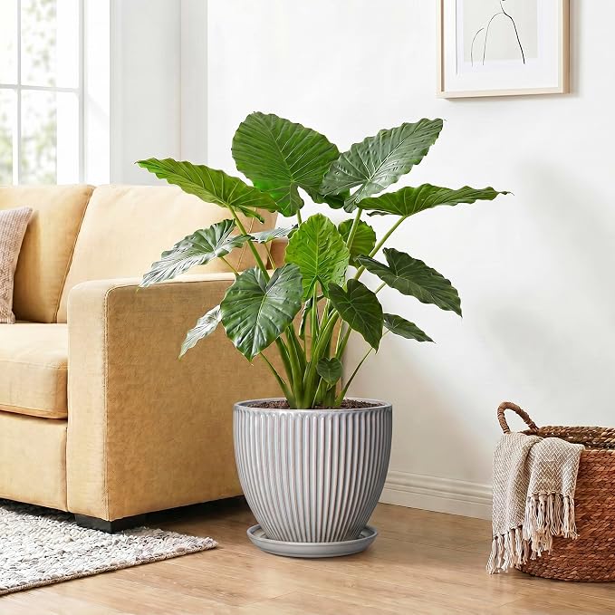 10 Inch Pots for Plants Indoor, Ceramic Planters with Drainage Hole and Saucer, Round Large Plant Pots for House Plants, Decorative Flower Planter, Porch Decor, Plant Lover Gifts, Grey