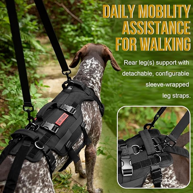 OneTigris Dog Lift Harness for Large Dogs, Dog Hip Support Brace, Full Body Lifter with Handles Invictus Multifunctional Mobility Assistance Vest for Back Legs (Black, Small)