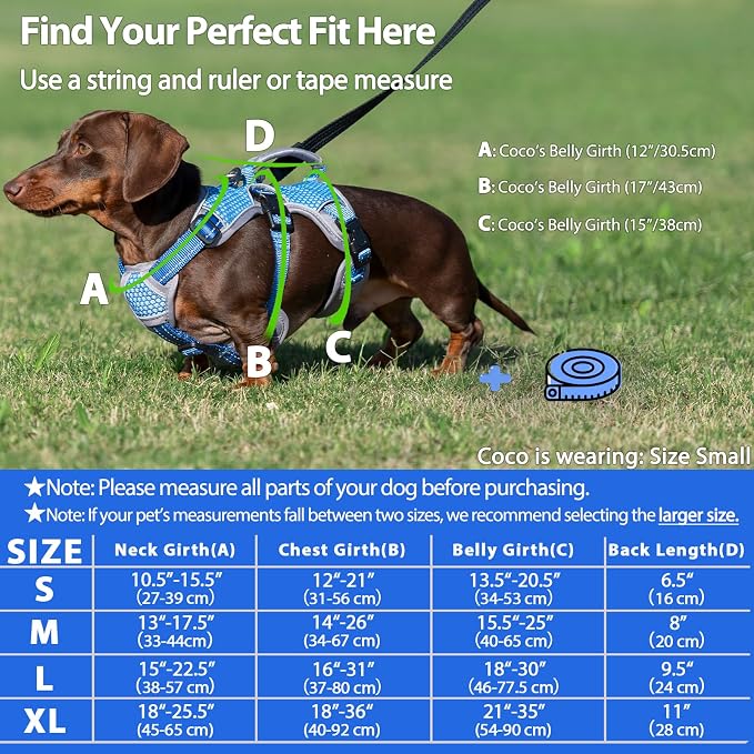 Escape Proof Dog Harness, Dachshund Harness, Reflective Dog Harness with Handle, Durable,Adjustable Vest for Small Medium Large Dogs Walking, Training, and Running Gear (Sea Blue,L)