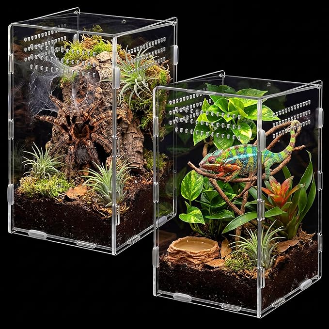 Hushee 2 Pcs Acrylic Reptile Terrarium Easy Assembly, 360° Clear & Keep Pet Secure Design for Jumping Spiders, Tarantulas, Frog, Mantis, Geckos, Ventilated Habitat Terrarium Enclosure 9.8*5.9*5.9in