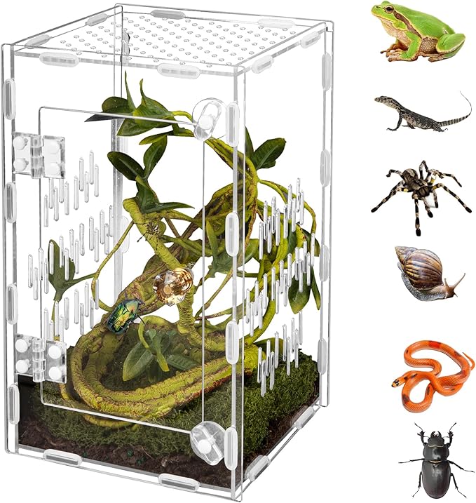 Acrylic Reptile Terrarium Easy Assembly, 360° Clear & Keep Pet Secure Design for Jumping Spiders, Tarantulas, Geckos Scratch-Resistant Large Ventilated Habitat Terrarium for Arachnids 9.8*5.9*5.9in