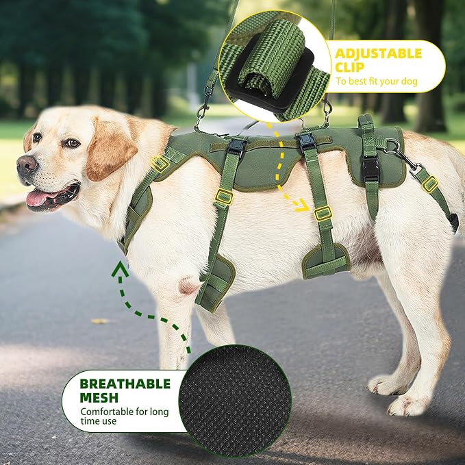PUPTECK Dog Lift Harness for Medium Large Sized Dog, Rehabilitation Sling for Hind Leg Support, Multifunctional Mobility Assistance Harness for Old, Disabled, Joint Injuries, Paralysis Dogs, Green L