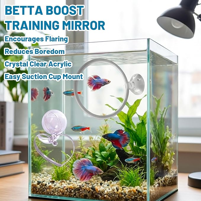 6PCS Betta Mirror, Betta Ring and Bettas Feeding Ring, Fish Enrichment Toys Set with Floating Mirror and Exercise Rings for Bettas Decor