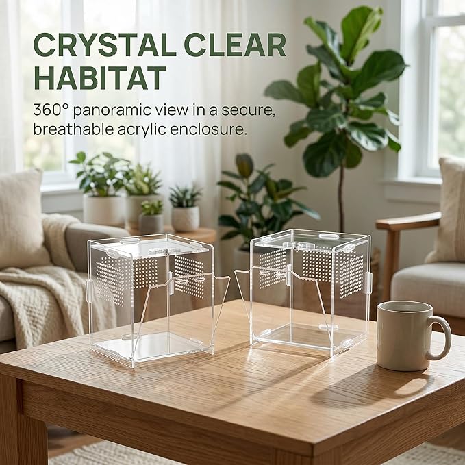 VERTUPET Jumping Spider Enclosure,2 Pack Insects Habitat,Small Arboreal Reptile Terrarium Acrylic Accessories Kit,Tarantula Enclosure Bug Cage for Frog,Crickets, Praying Mantis,Snails（4x4x4inch）