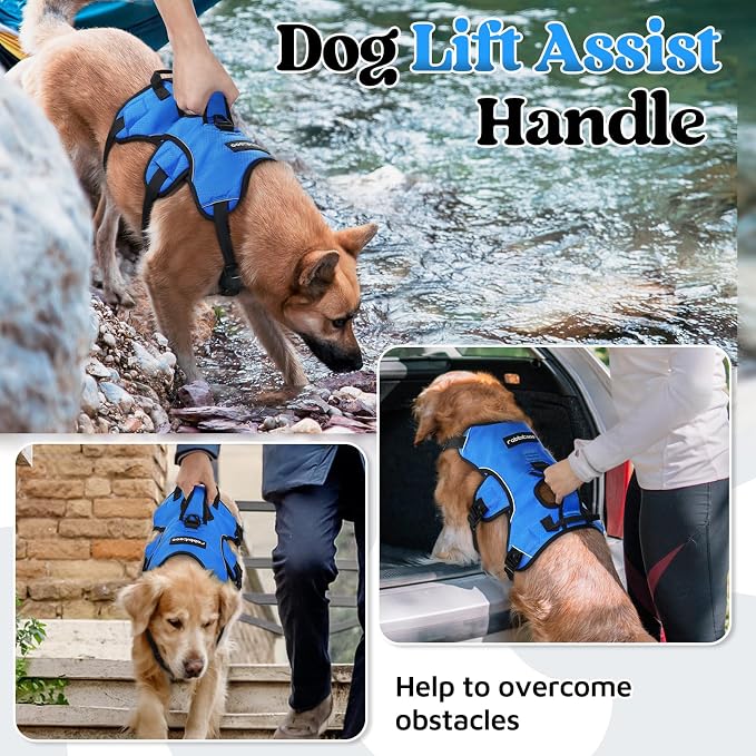 rabbitgoo Escape Proof Dog Harness for Medium, No Pull with Lift Handle | No Escape, Full Soft Padded, Reflective Adjustable Vest, Leash Clip for Walking Hiking Training, Blue, Medium