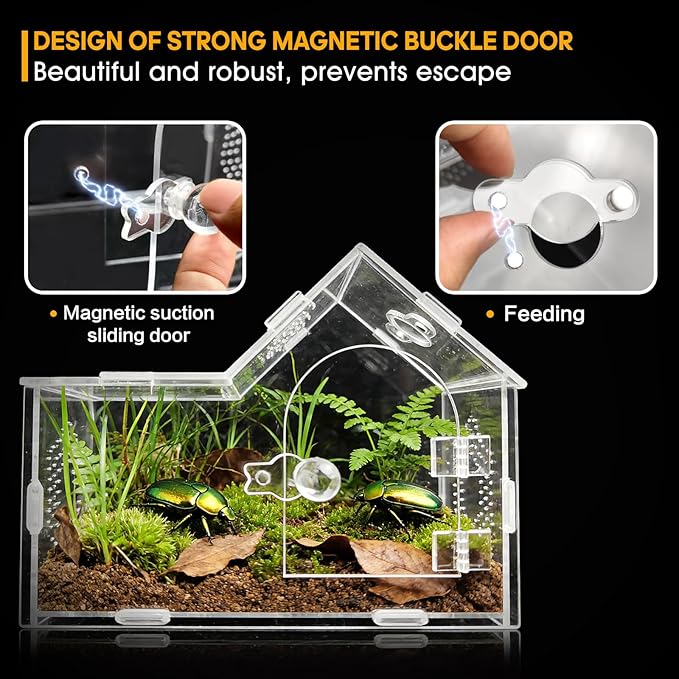 Acrylic Jumping Spider Enclosure with Magnetic Lock – Clear Ventilated Terrarium Box for Tarantulas, Geckos, Mantises, Hermit Crabs, Snails, and Other Small Pets (7.9 x 4 x 6 Inch)