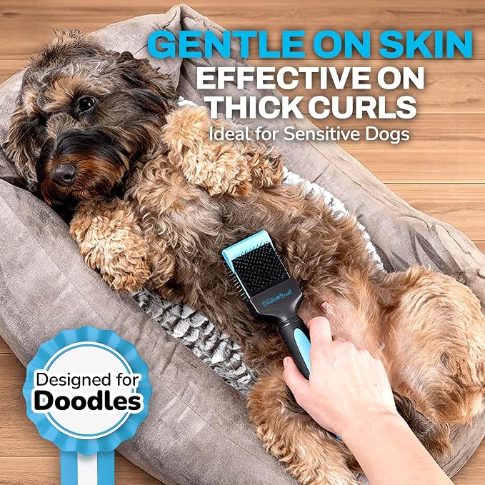 The Doodle Brush Slicker Dog Brushes Curly Coat Detangler, Single Head | Flexible Grooming Brush, Ergonomic Handle, Goldendoodle, Cockapoo, Cavapoo, Dematting Dogs, Removes Mats and Tangles