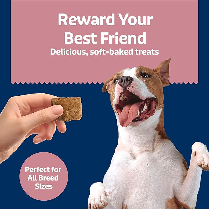 Blue Buffalo Soft & Chewy Health Bars, Baked with Real Chicken & Coconut, Natural Dog Treats Mineral-Enhanced for Flavor, 9 oz. Bag (Pack of 2)