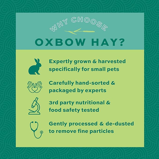 Oxbow Western Timothy Hay for Small Pets – All-Natural Grass Hay for Rabbits, Guinea Pigs, and Chinchillas – High Fiber for Digestive Health and Dental Support – 40 oz Bag