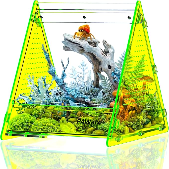 Triangular Jumping Spider Enclosure, Acrylic Terrarium with Magnetic Doors, 0.8mm Micro-Ventilation& Escape-Proof Design for Tarantulas, Lizards, Small Pets (Green,6.5"x7.3"x7")