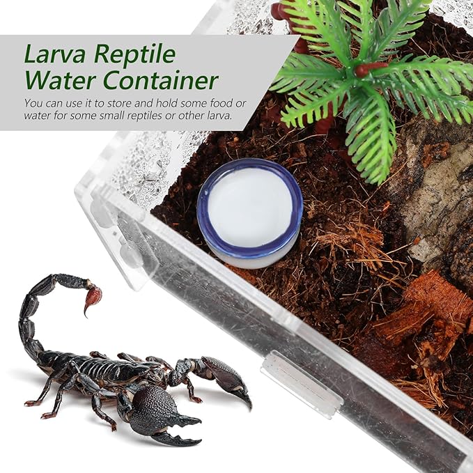 12pcs Small Ceramic Reptile Water Bowls Mini Terrarium Basins and Crawling Pets Reptile Tank Drinking Dishes Pet Habitat Accessories