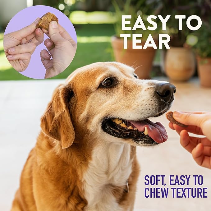 Dogswell Lifestage Senior Treats Mini Soft Strip Duck, 4oz. Bag