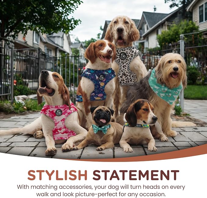 No Pull Harness and Leash Set - 6-in-1 Adjustable Vest Harness and Collars for Medium and Large Dogs. (Tile Unicorn, Small)