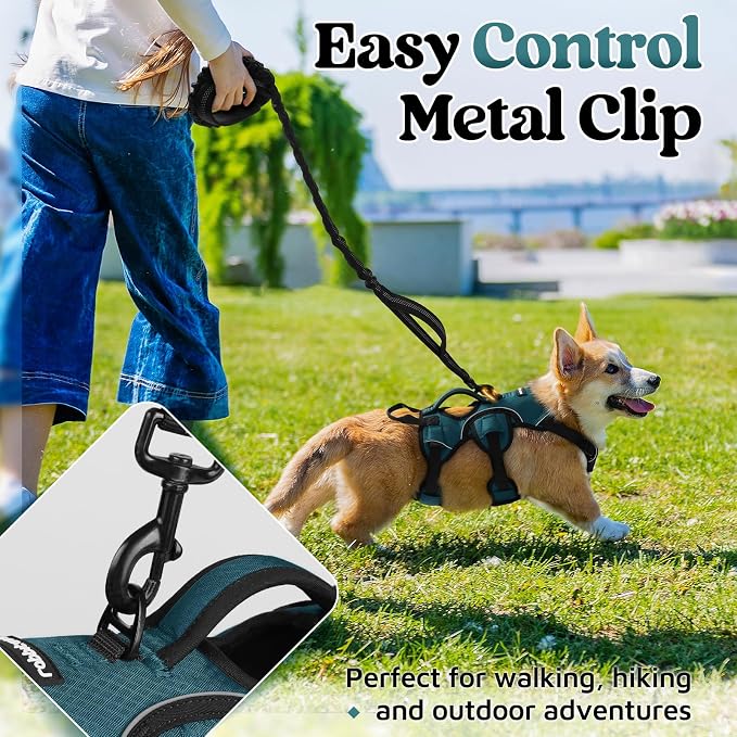 rabbitgoo Escape Proof Dog Harness for Small, No Pull with Lift Handle | No Escape, Full Soft Padded, Reflective Adjustable Vest, Leash Clip for Walking Hiking Training, Dark Green, Small
