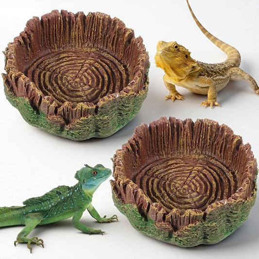 Bearded Dragon Food Bowl Small Reptile Water Dish, 2 Pack Reptile Bowl Feeding Large Food Bowls Water Dish for Hermit Crab Leopard Gecko Frog Tortoise Bearded Dragon Lizardtank Feeding(3 * 3 * 1in)