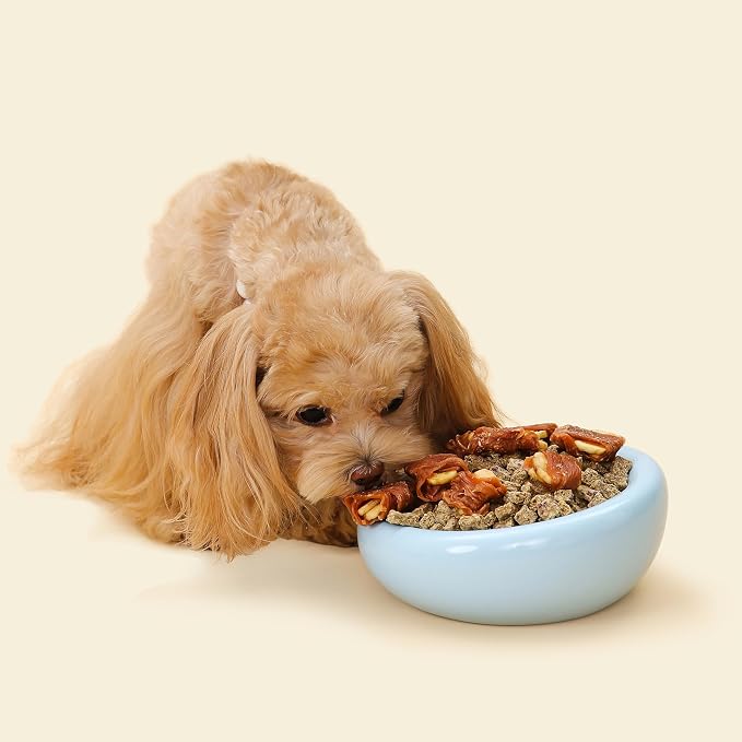 Pebble Pet Bowl Deep Blue, Ergonomic Dog & Cat Feeding Bowl, Flat-Faced Breed, Tilted Ceramic Pet Food Dish, Scooper Eater, Anti-Spill Design, Dishwasher Safe, Modern Pet Bowl, Dry & Wet Diet