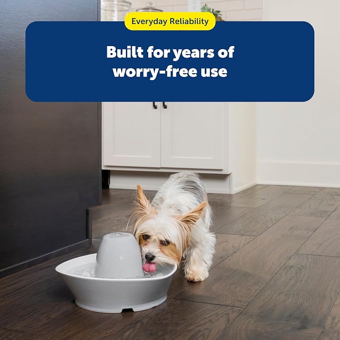 PetSafe Ceramic Pet Fountain – for Cats and Small Dogs – 60 Oz Water Capacity – Whisper-Quiet Water Flow – Great for Shy or Timid Pets – Fresh, Filtered Water