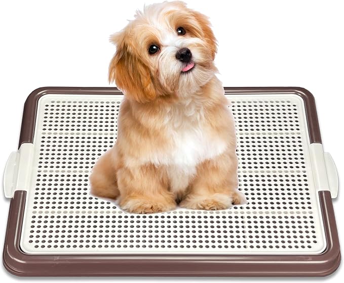 Dog Pee Pad Holder Tray, Puppy Potty Training, 22.5"x16.5", PP Plastic, Snap Lock, 4 Colors (Brown)