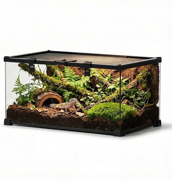 20"x12"x10" Reptile Terrarium, Escape-Proof Glass Terrestrial Vivarium for Small Desert Reptiles Such as Leopard Geckos, with Escape-Proof Lock & Feeding Hatch
