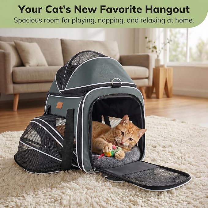 Morpilot Top and Side Expandable Cat Carrier for Pets up to 20lbs | Airline Approved Collapsible Soft-Sided Pet Carrier for Car Rides and Vet Visits (Dark Gray)