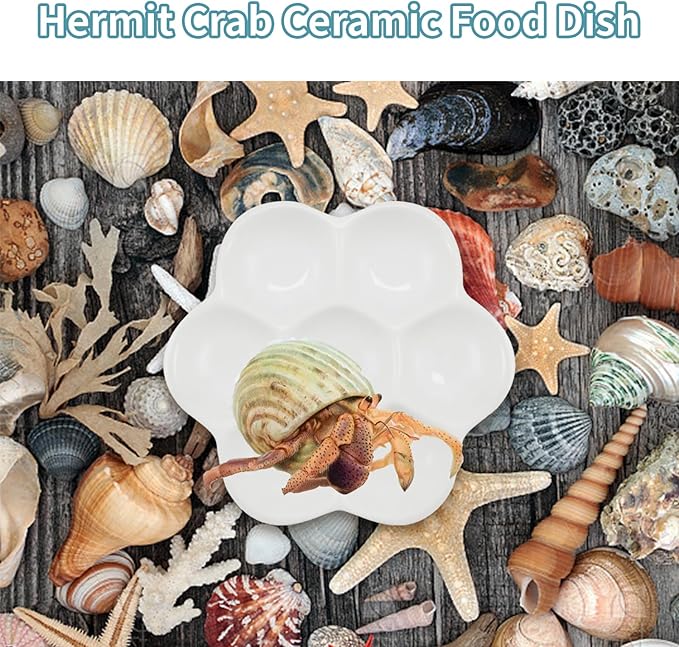 4.53" Hermit Crab Ceramic Food Dish,7 Compartments Ceramic Anti-Turning Food & Water Bowl for Hermit Crab Tarantula Snail