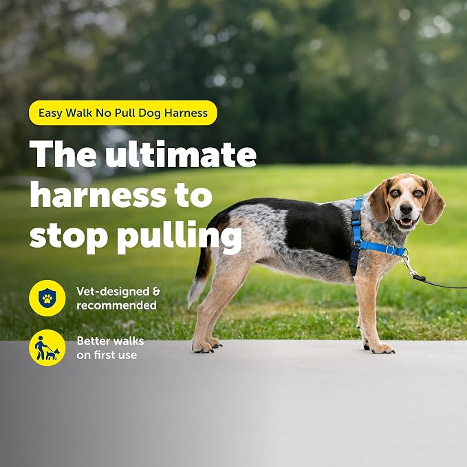 PetSafe Easy Walk Harness, No Pull Dog Harness, Royal Blue, Small/Medium | Patented Martingale Loop Gives Gradual Shoulder Pressure to Stop Pulling, Front-Chest Leash Clip Prevents Gagging