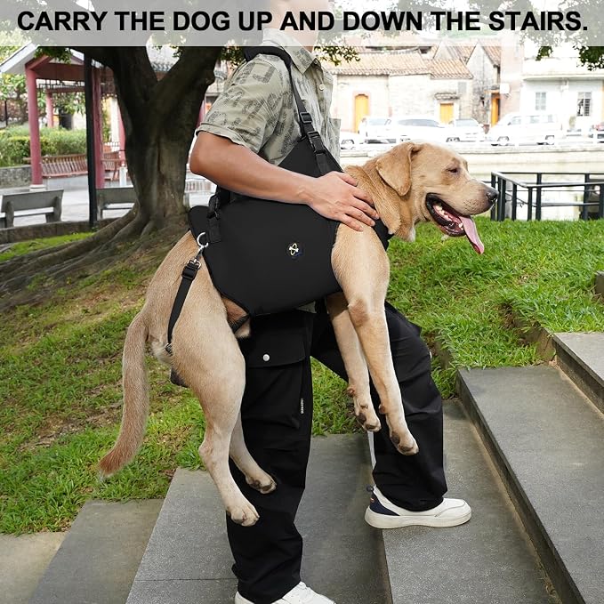 Coodeo Dog Lift Harness, Pet Support & Rehabilitation Sling Lift Adjustable Padded Breathable Straps for Old, Disabled, Joint Injuries, Arthritis, Loss of Stability Dogs Walk (Black, XL)