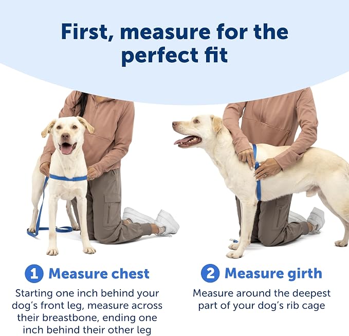 PetSafe Easy Walk Harness, No Pull Dog Harness, Black, Extra Large | Patented Martingale Loop Gives Gradual Shoulder Pressure to Stop Pulling, Front-Chest Leash Clip Prevents Gagging
