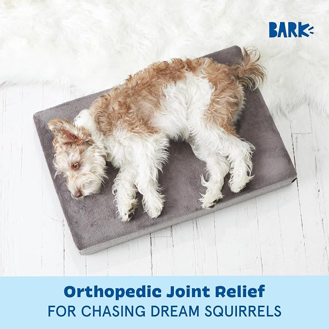 BarkBox Orthopedic Dog Bed - Small | with Memory Foam - Comfortable, Durable & Machine Washable Pet Bed - Grey