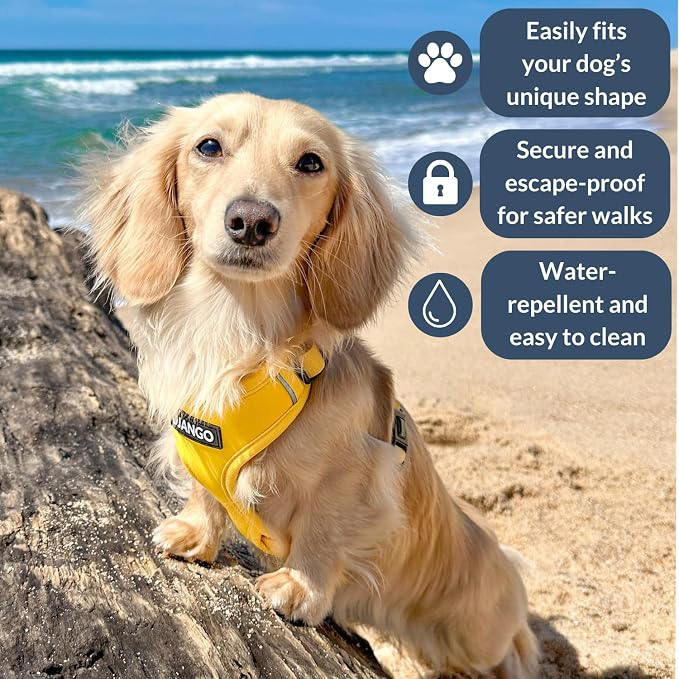 Adventure Dog Harness - Stylish Small Dog Harness for Outdoor Adventures and Everyday Wear - Dandelion Yellow Neoprene Adjustable Harness for Dogs with Reflective Piping and Solid Brass D-Ring