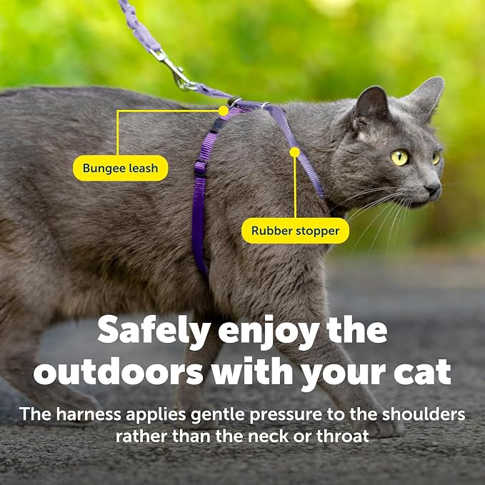 PetSafe Come With Me Kitty Harness and Bungee Cat Leash, Medium, LILAC/BRIGHT PURPLE, Model:CWMK-M-LLC | Adjustable 2-Point Fit Applies Gentle Pressure to Shoulders, Not Neck, for Small & Average Cats with 10.5 in - 14 in Girth
