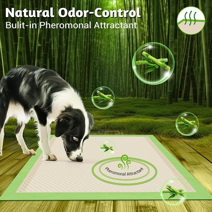 MIZOK Bamboo Dog Pee Pads Highly Absorbent No Leak XXL 36x36in 30Ct | Thick Bamboo Fibers Instantly Absorb Liquid and Neutralize Bad Odors Keeping Your Indoor Living Space Clean and Leak Proof