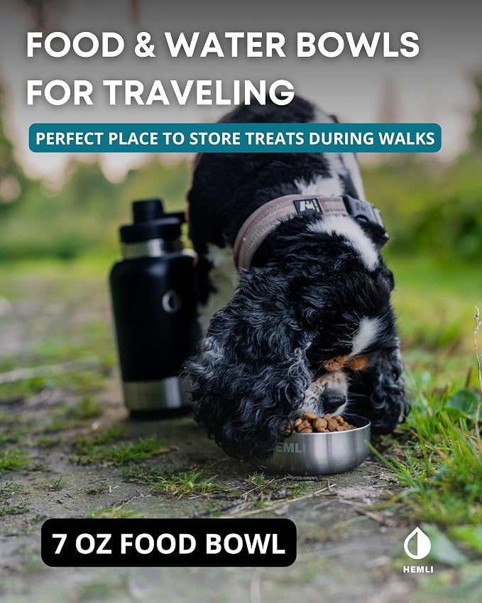 32 oz. Portable Dog Water Bottle and Bowl for Walking, Hiking and Travel