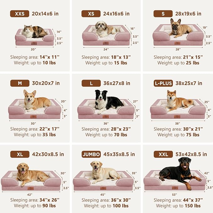 Comfort Expression Waterproof Orthopedic Dog Beds for Large Sized Dog | Supportive Egg Crate Foam Large Pet Bed with Removable Bolster, Dog Couch with Washable Cover & Non-Slip Bottom, 36x27 Inch