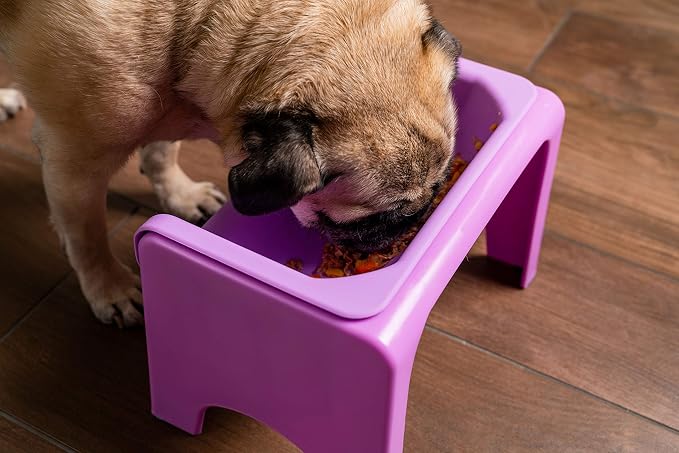 Fluff Trough Elevated Dog Bowl for Food | 5inch Tall Cat & Dog Feeding Station | Vet Approved Non-Toxic Silicone Feeder Bowl Insert | Raised Bowl for Medium and Small Dog/Pet with Flat Face (Purple)