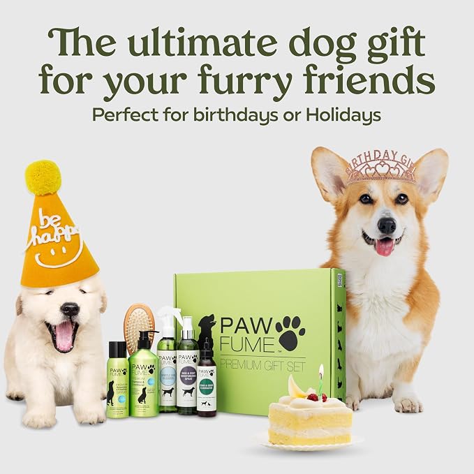 Pawfume Dog Gift Basket, 6-Piece Grooming Gift Box | 6-piece spa kit with probiotic deodorizer spray, hypoallergenic grooming mist & premium brush, Dog Gift Boxes for all breeds
