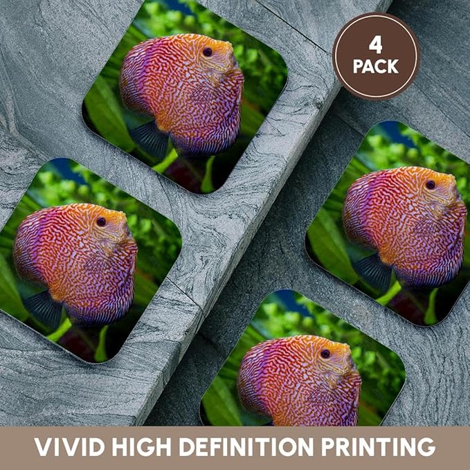 3dRose Super Pigeon Snakeskin Discus, Tropical Freshwater Fish. Set of 4 Coasters - Soft
