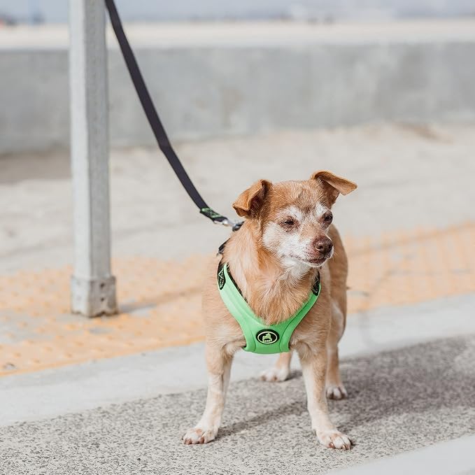 Gooby Escape Free Sport Dog Harness, Choke-Free, Lime, Medium | Patented escape-free frame; Reduces choking; 4-point adjustment; Soft neoprene padding; Durable webbed straps