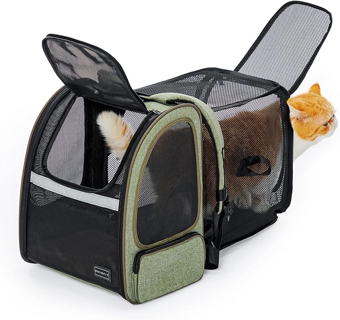 Petsfit Expandable Cat Backpack Carrier for Cats and Small Dogs, 18 lb | 65% expandable rest zone, padded waist belt, airflow back panel, locking zippers, safety tether and washable dual-sided mat.
