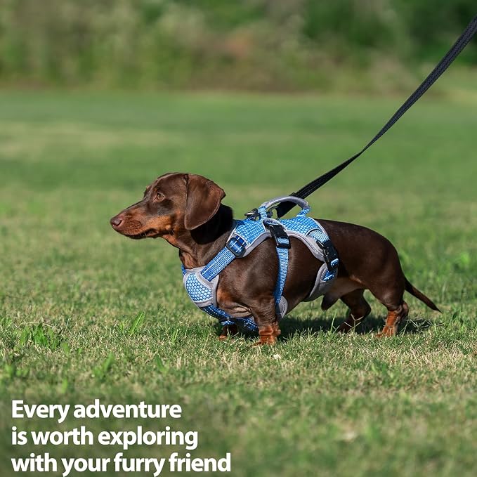 Escape Proof Dog Harness, Dachshund Harness, Reflective Dog Harness with Handle, Durable,Adjustable Vest for Small Medium Large Dogs Walking, Training, and Running Gear (Sea Blue,XL)