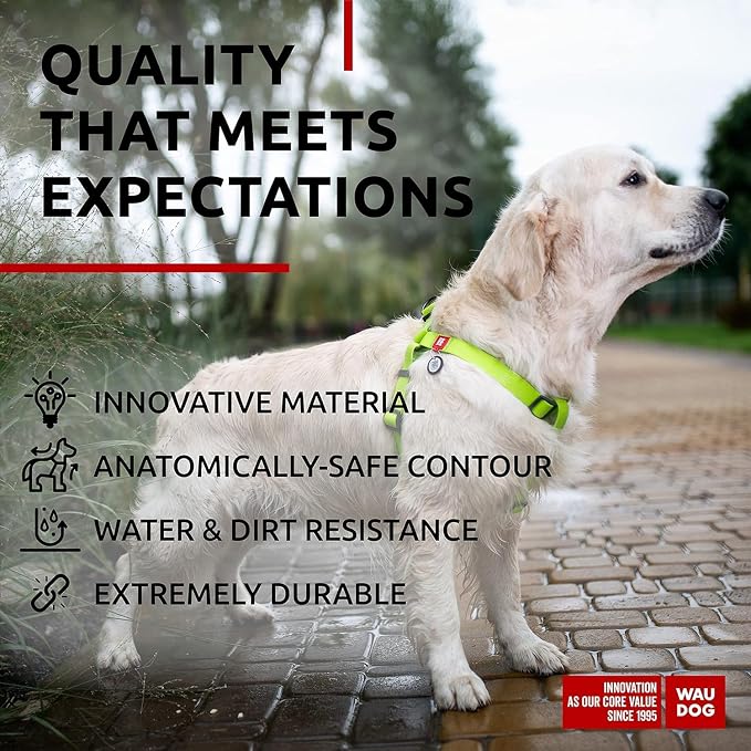 WAUDOG Waterproof Heavy Duty Dog Harness - Adjustable for Large Dogs, Small & Medium - Durable Metal Clasps, QR Dog Tag - Green (20-32in)