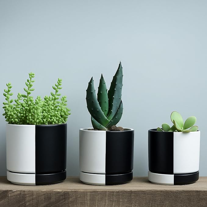 D'vine Dev 4.7 Inch Ceramic Planter Pot, Black White Split, 94-O-B-0 | Modern Cylinder Design, Drainage Hole & Saucer Included, Stable Structure, Elegant Home Accent