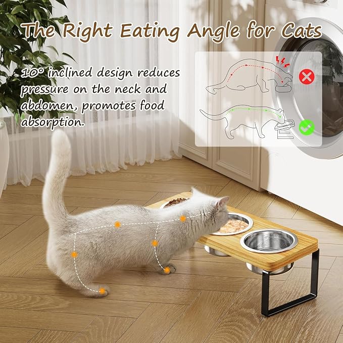 2 Pack Elevated Cat Bowls with 3 Stainless Steel Bowls | 10° Tilted Anti-Vomiting Raised Cat Food Bowl for Small Cats and Puppies Pet Bowl with Stand