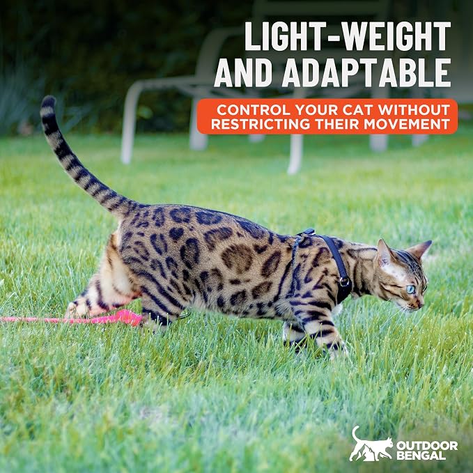 Houdini™ Escape Proof Cat Harness and Leash (Black, XL) | Adjustable walking vest with 6ft lead, breathable mesh, secure snug fit, lightweight for travel, hikes and daily adventures