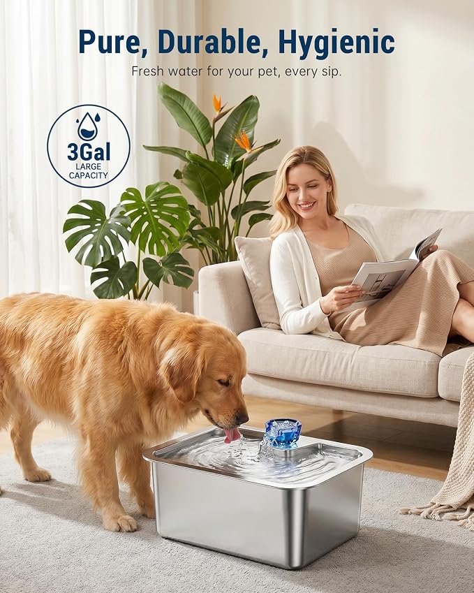 3 Gallon Stainless Steel Dog Water Fountain for Large Dogs