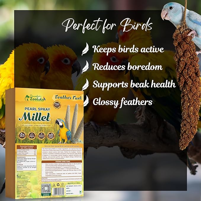 Danodia's Zoolulu Millet Spray for Birds (600g/1.3lb) Budgie Food and Parakeet Treats, Natural Bird Millet for Cockatiel Treats, Finches, Canaries, Lovebirds. Chemical Free & Naturally Gluten Free