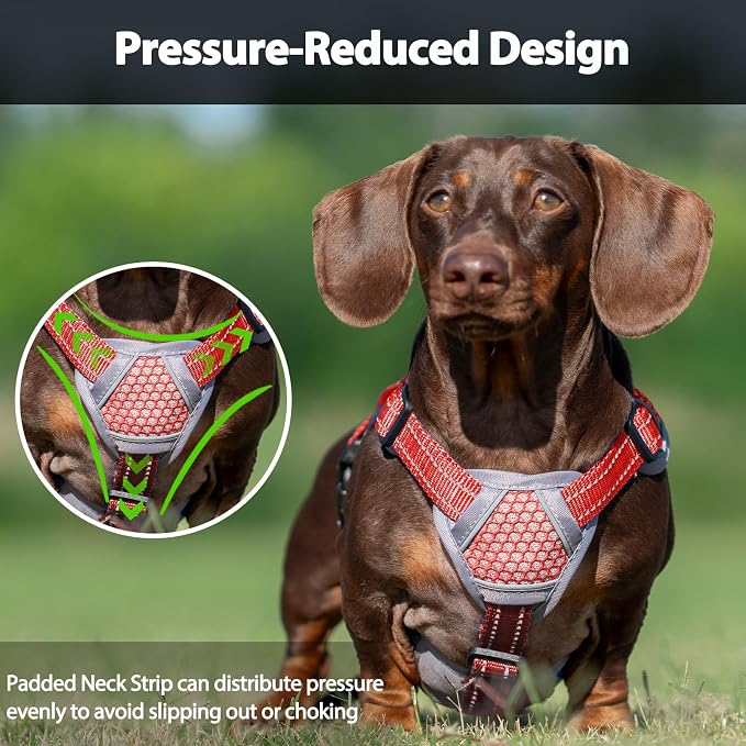 Escape Proof Dog Harness, Dachshund Harness, Reflective Dog Harness with Handle, Durable,Adjustable Vest for Small Medium Large Dogs Walking, Training, and Running Gear (Red,L)