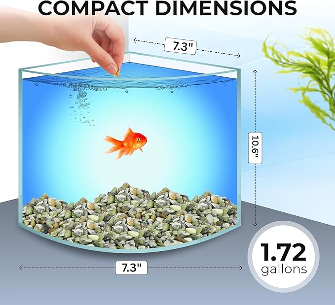 Skywin Betta Fish Tank - 1.71 Gallon, Acrylic Beta Fish Aquariums, Corner Fish Tank, Small Fish Tank for Real Life Fish, Clear Seamless Desktop Corner Aquarium for Small Fish, Shrimp & Plants Only