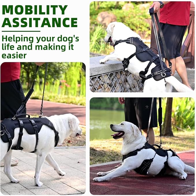 PUPTECK Dog Lift Harness for Medium Large Sized Dog, Rehabilitation Sling for Hind Leg Support, Multifunctional Mobility Assistance Harness for Old, Disabled, Joint Injuries, Paralysis Dogs, Black M