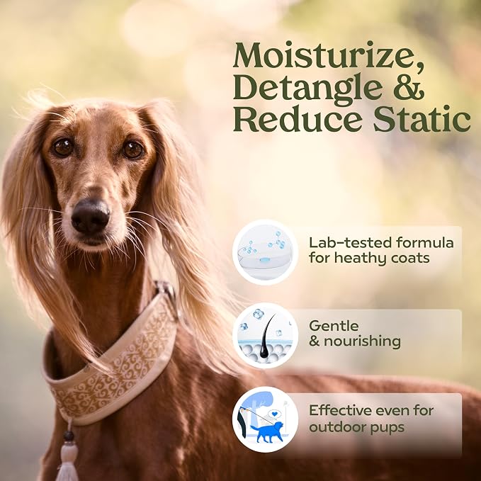 PAWFUME Dog Cologne Spray Grooming & Finishing, Show Dog, 4-Pack | Hypoallergenic, alcohol-free grooming spray conditions coats and freshens between baths, with Pet Cologne Spray for Dogs
